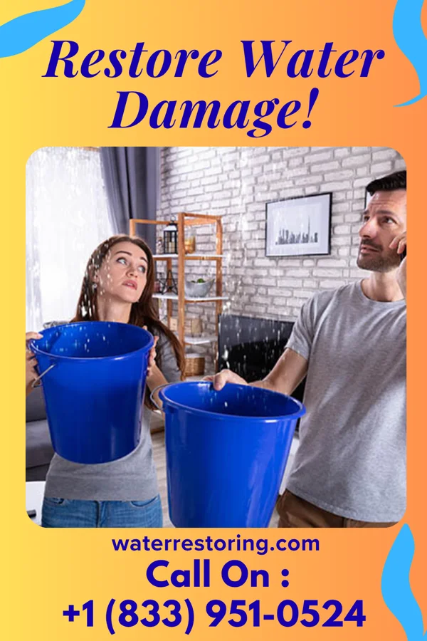 water restoration Ultimate Water Repair Group Cannonsburg